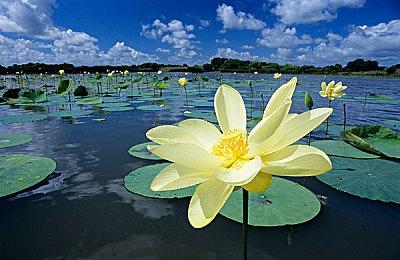 即时战略游戏《Ratten Reich》8月9日发售 支持繁体中文